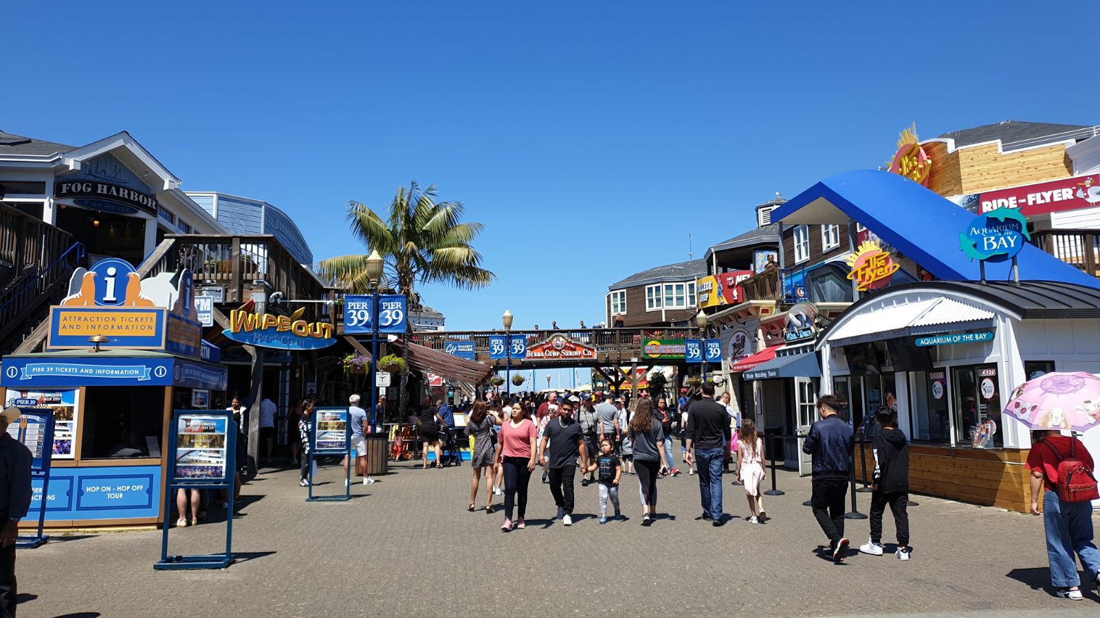 San Francisco Bild 6