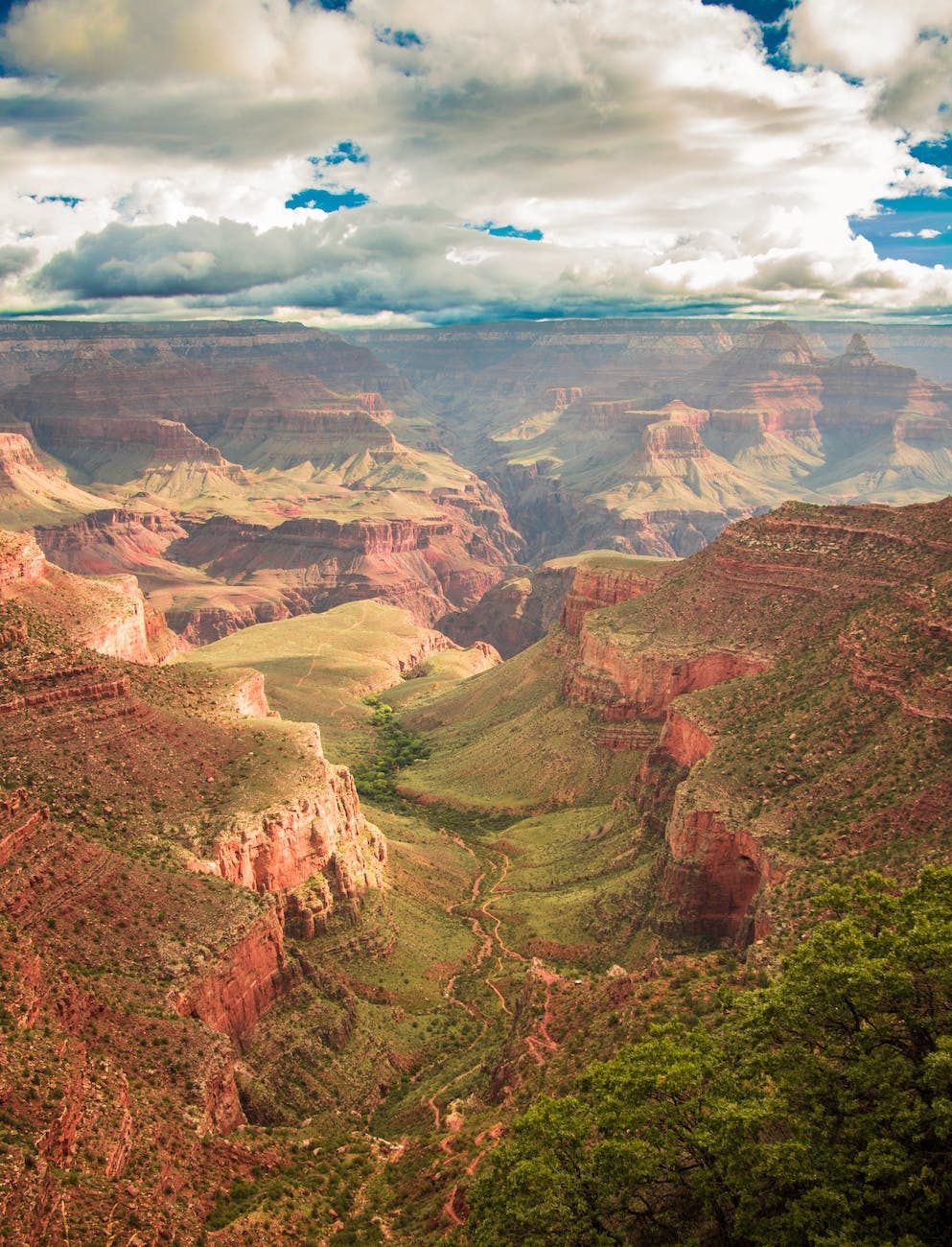 Grand Canyon Bild 6