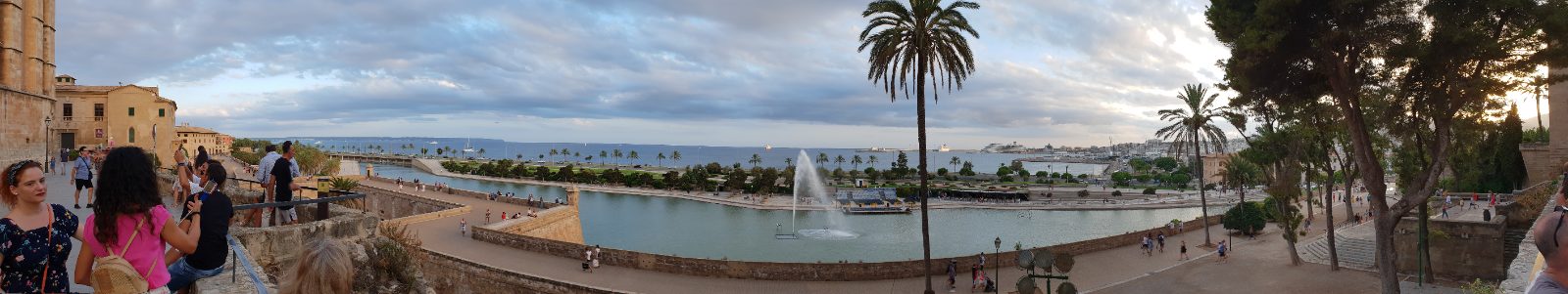Palma Bild 4