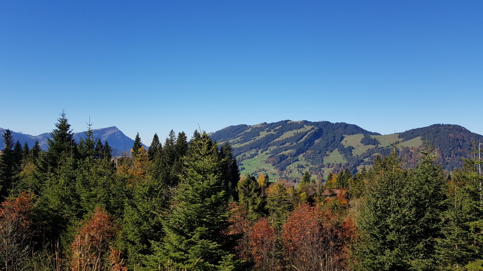 Sattel Hochstuckli Bild 5