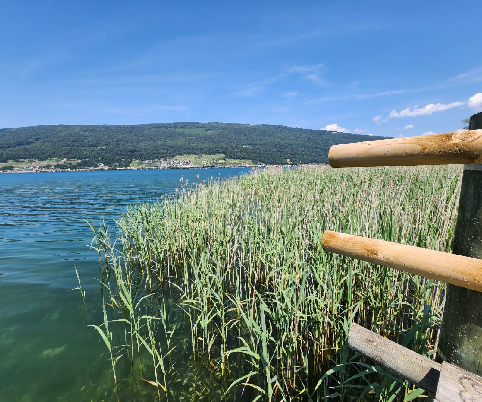 Bielerseeregion Bild 2