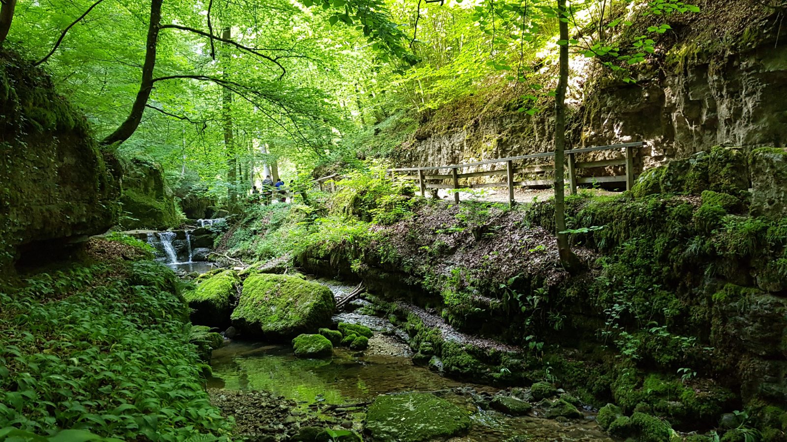 Verenaschlucht Bild 3