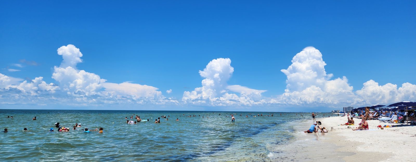 Clam Pass Park Bild 7