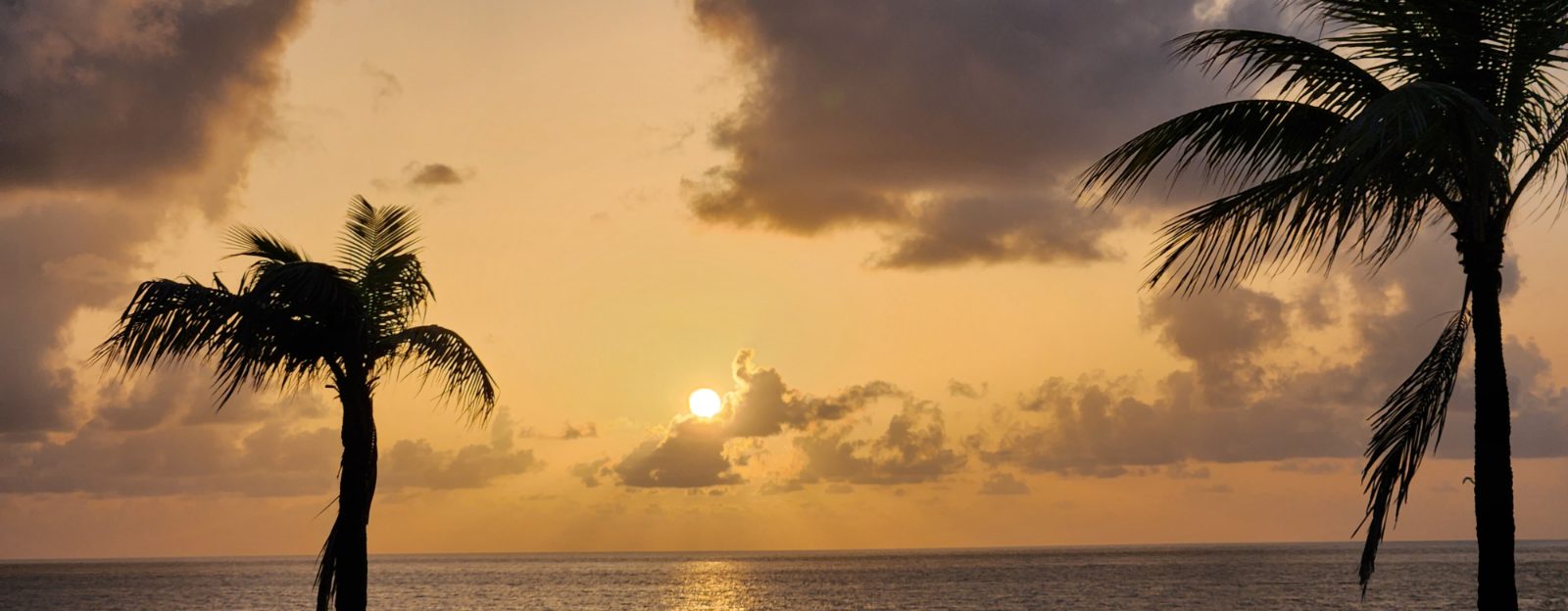 Fort Lauderdale Bild 10