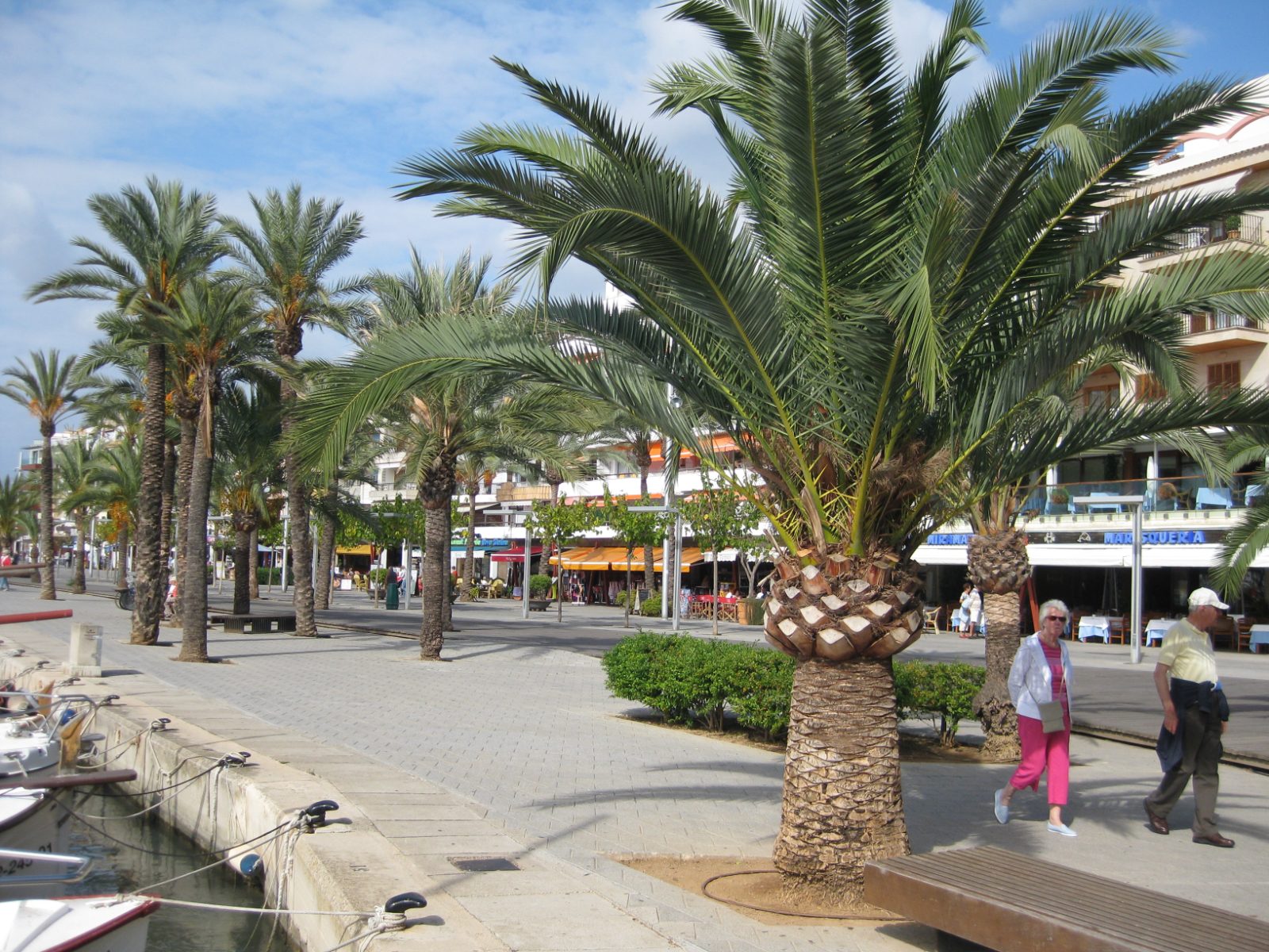 Alcudia Bild 5