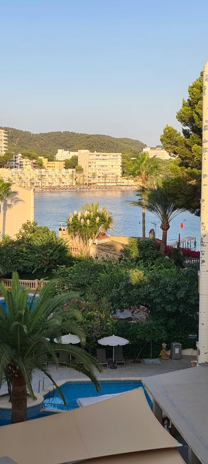 Flor Los Almendros, Paguera Bild 4