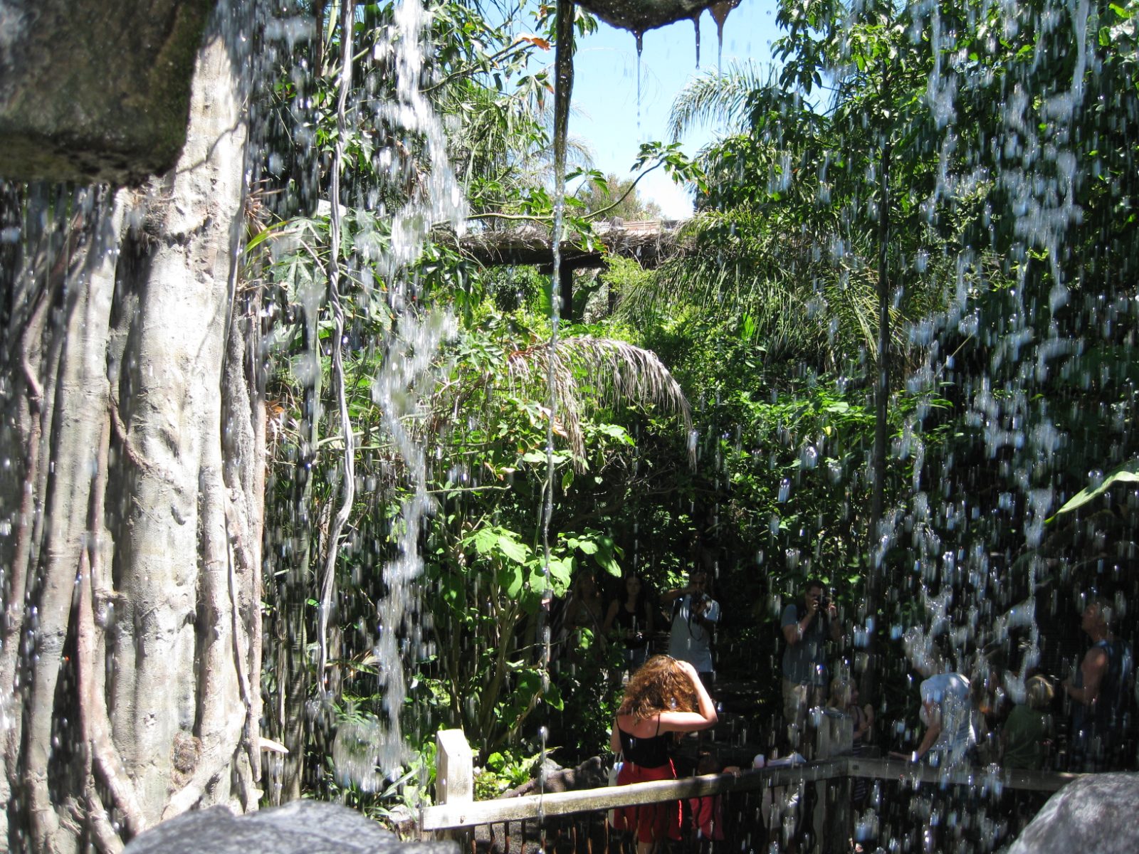 Palma Aquarium Bild 4